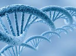 тест-система на определение генетических мутаций