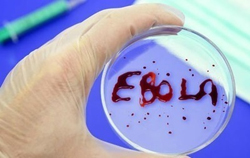 Новая тест-система на лихорадку Эбола