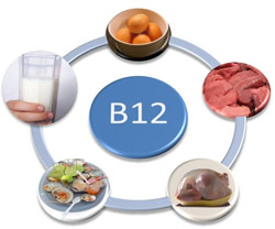 Основным источником В12 являются печень, мясо, субпродукты, рыба, яйца и меньше - молочные продукты.