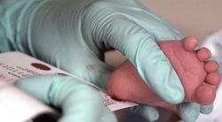 анализ крови новорожденного в роддоме, из пятки
